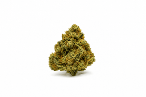 Amnesia CBD premium greenhouse – grosse tête de fleur CBD résineuse aux arômes citronnés sur fond blanc – livraison rapide France | BISCA CBD
