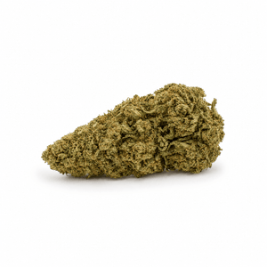 Fleur CBD Orange Bud premium greenhouse dense et résineuse aux arômes d’agrumes - BISCA CBD