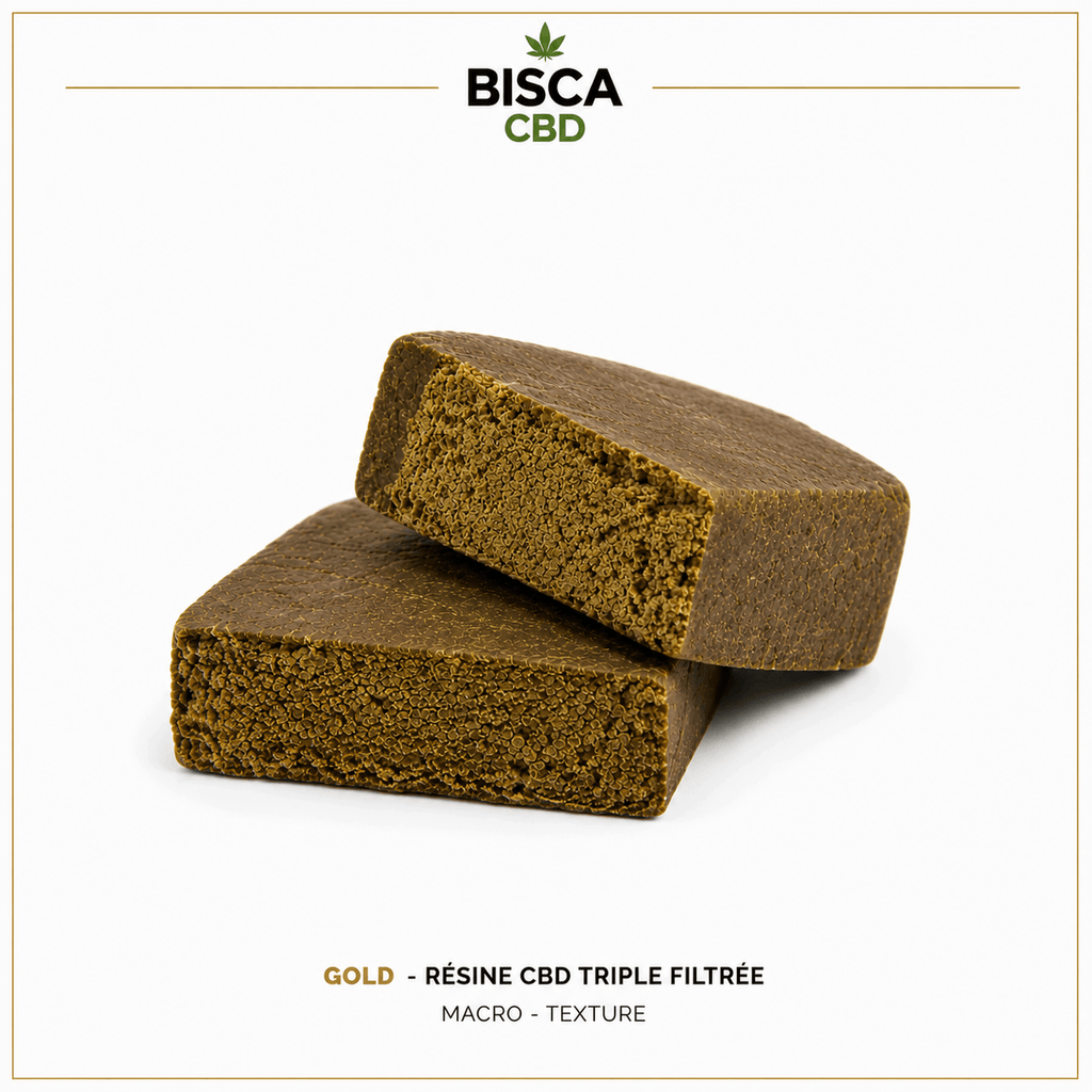 Gold – Résine CBD Triple Filtrée Premium
