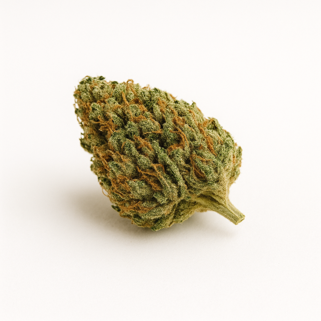 White Widow CBD - Paquet 5 grammes | Livraison à Biscarrosse