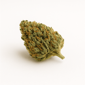 white widow cbd biscarrosse
