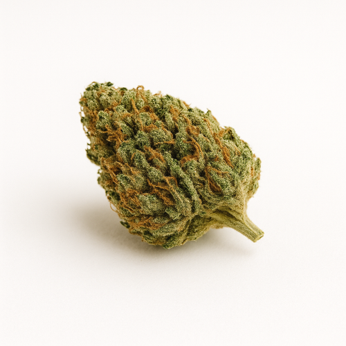 White Widow CBD - Paquet 5 grammes | Livraison à Biscarrosse